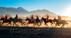 西藏游记图片] 藏北赛马节——马背上的恣意人生