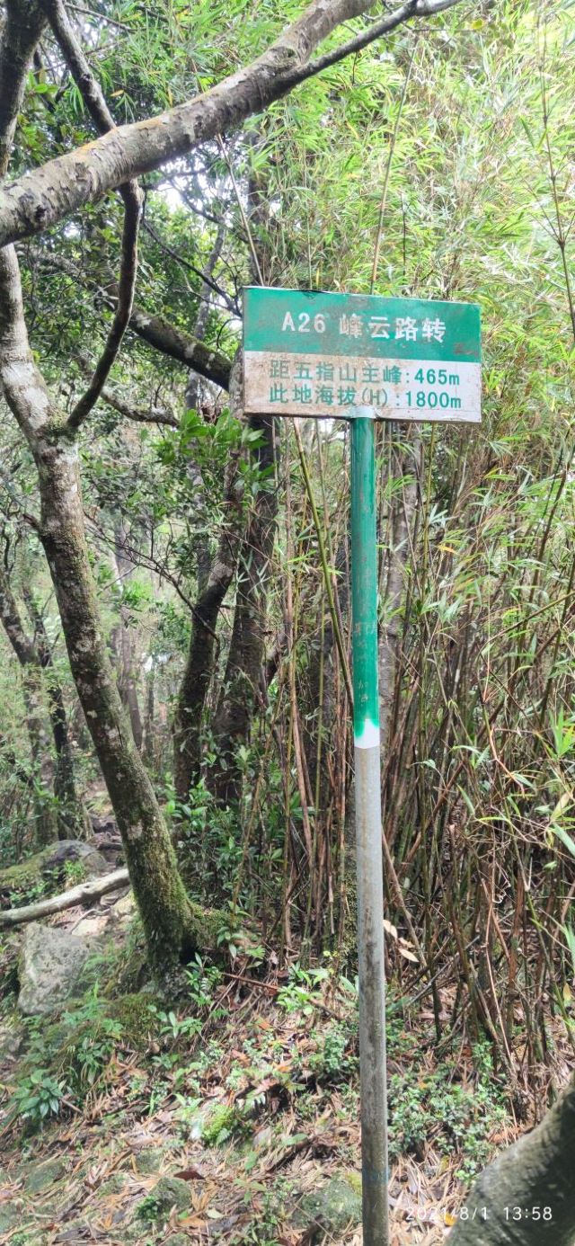海南热带雨林国家公园五指山景区旅行图片 3