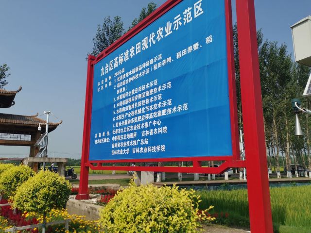 红光稻田公园旅行图片 1