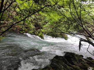 茂兰,大美原生态自然保护区(2)——贵州8日(8)