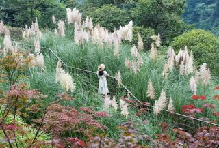 来青城山必打卡的隐泉山境,过一段令人向往的生活