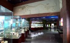 河源恐龙博物馆-河源-C-IMAGE