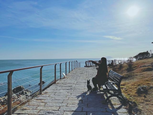 凤凰山公园旅行图片 5