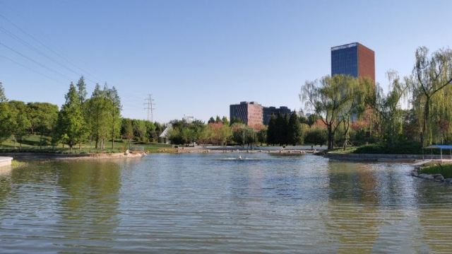 四得公园旅行图片 8