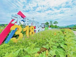 端午一日游丨到永和家园看花海，赏民俗，不亏！