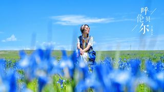 呼伦贝尔大草原上，藏着这个夏天的密码，呼伦贝尔大草原旅行