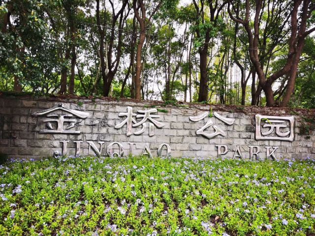 金桥公园旅行图片 9