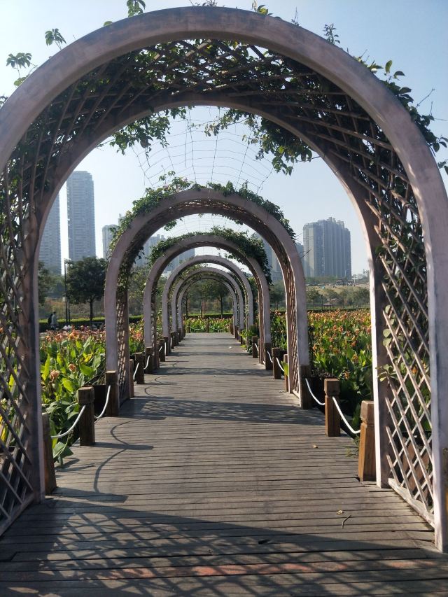那考河湿地公园旅行图片 8