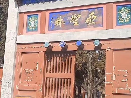 孟林