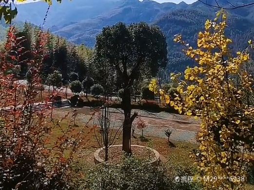 连云山