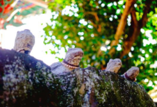 向日庵景点图片