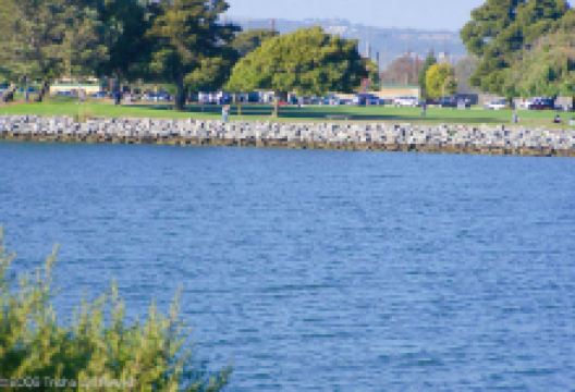 Marina Park景点图片