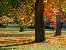 灯塔公园-西温哥华