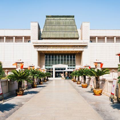 博物馆讲解·徐州博物馆2H深度讲解亲子营·成人/儿童·金牌导游线下博物馆高端精讲品牌·看汉风新韵，听徐州故事·上下午场可选·12人团 