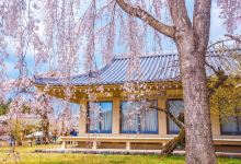 醍醐寺景点图片