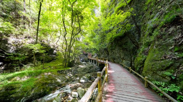 牛背梁国家级自然保护区