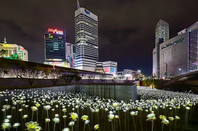Dongdaemun History & Culture Park