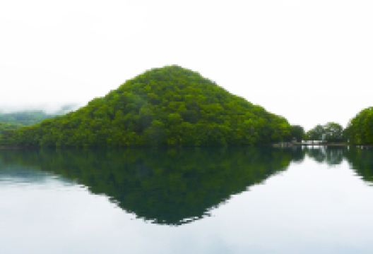 洞爷湖中岛景点图片