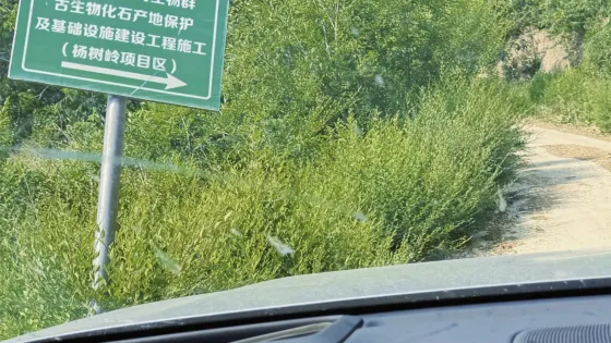熱河生物羣古生物化石產地楊樹嶺保護區