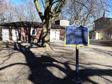 海柏公园-多伦多-BetTerDAY