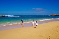 瓦南布尔-瓦南布尔-优的良仕