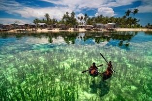 我的蜜月在最美的仙本那