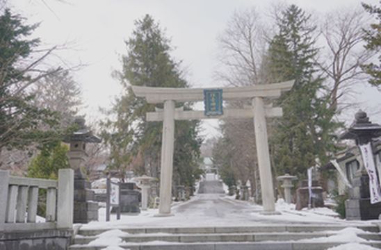 北海道5天4夜 毕业之行