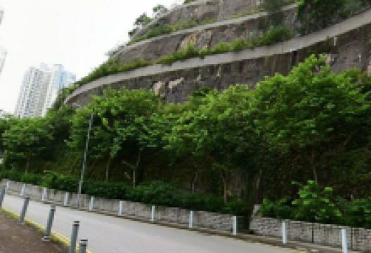 彩云道史迹径景点图片