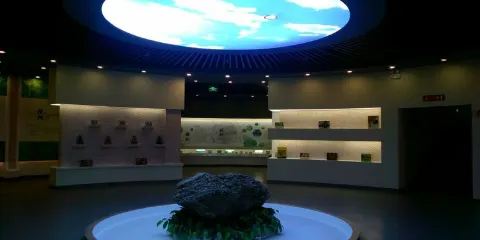 大姚核桃博物館