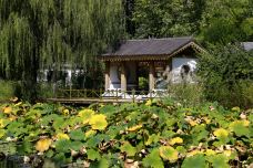 济南植物园-济南