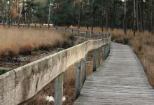 West Bloomfield Woods Nature Preserve景点图片
