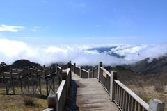 西岭雪山景区游记图片] 仅29.9元！登上城市云海公园！西岭雪山五一后成别人家的度假圣地