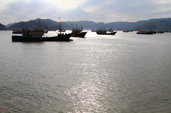 玉环游记图片] 浙东 ● 坎门 ③