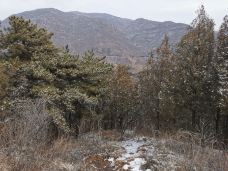 妙峰山风景区-北京-M34****9874