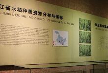 中国方正稻作博物馆景点图片