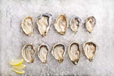 Oyster Talks 四度蚝(工体店)-北京