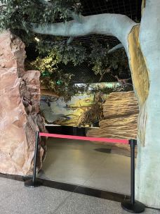 哈密博物馆-哈密-杨毅老师