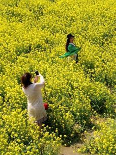 稻城亚丁-冲古草甸-稻城-滇国剑客