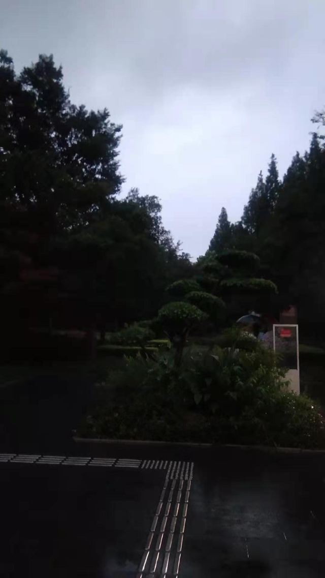 漕溪公园旅行图片 1