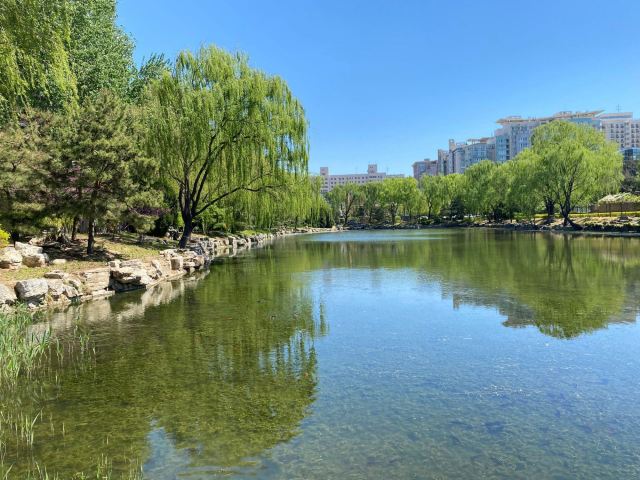 柳荫公园旅行图片 1