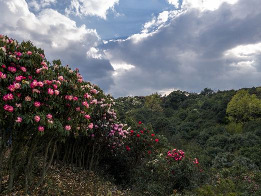 英武山
