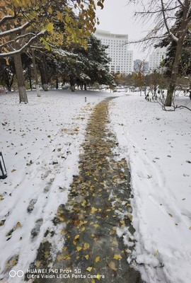 北京今年入冬第一场雪-3
