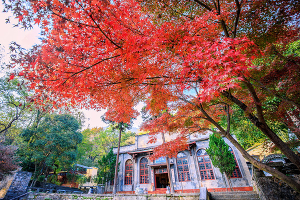 冬游九江 寻找你的诗和远方