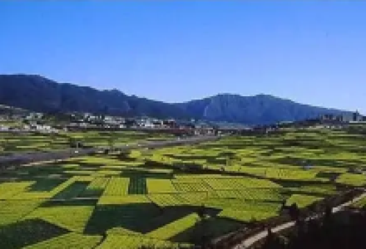 曲陀关景点图片