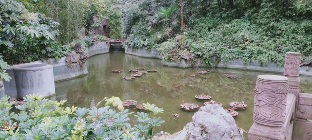 凤凰山国家森林公园旅行图片 5