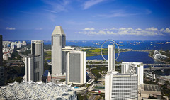 新加坡游记图片] 这次真的心想“狮”城！ 新加坡最美酒店春节竟然大放“价”？