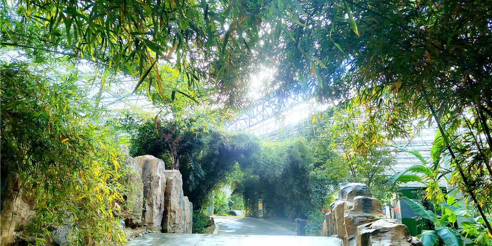 永安旅遊