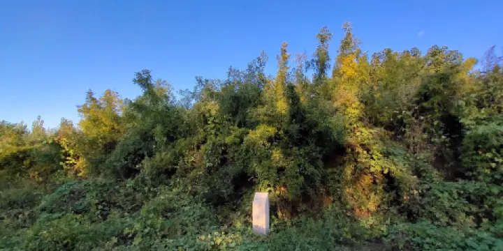 東平陵城遺址（年代漢代）