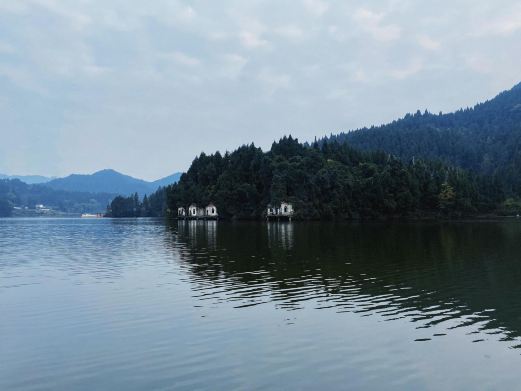 望龙湖