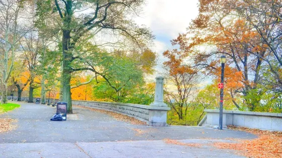 西哈林墩公園